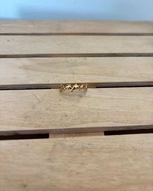 ANILLO ACERO DELFINES - Imagen 1