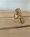 ANILLO ACERO DORADO - Imagen 1