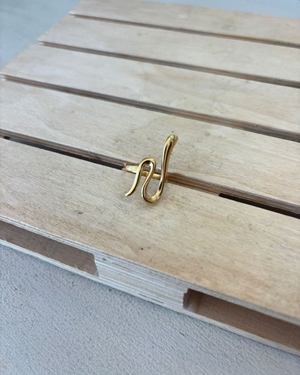 ANILLO ACERO DORADO - Imagen 1