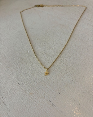 CADENA ACERO ALGA - Imagen 2