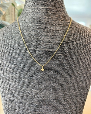 CADENA ACERO PEZ - Imagen 1