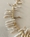 COLLAR CORAL BEIGE - Imagen 2