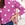 JERSEY DOTS BUGANVILLA - Imagen 2