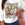SUDADERA ANIMAL PRIMT - Imagen 1