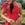 VESTIDO ANDREA ROJO - Imagen 1